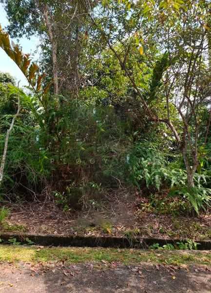 Tanah Kediaman untuk Dijual di Bentong (Pahang) - Peggy Lim - Exterior - PropertyGuru.com.my