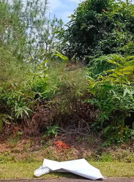 Tanah Kediaman untuk Dijual di Bentong (Pahang) - Peggy Lim - Exterior - PropertyGuru.com.my