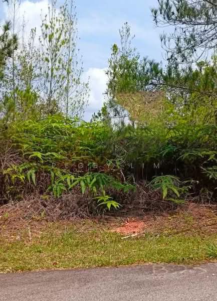 Tanah Kediaman untuk Dijual di Bentong (Pahang) - Peggy Lim - Exterior - PropertyGuru.com.my