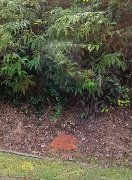 Tanah Kediaman untuk Dijual di Bentong (Pahang) - Peggy Lim - Exterior - PropertyGuru.com.my