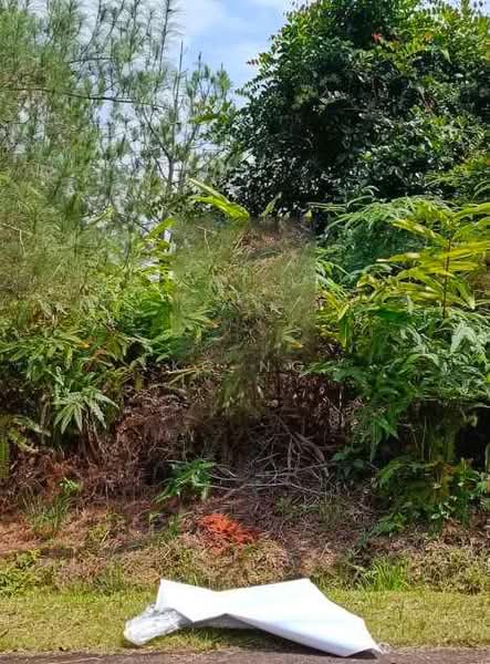 Tanah Kediaman untuk Dijual di Bentong (Pahang) - KC Ng - Exterior - PropertyGuru.com.my