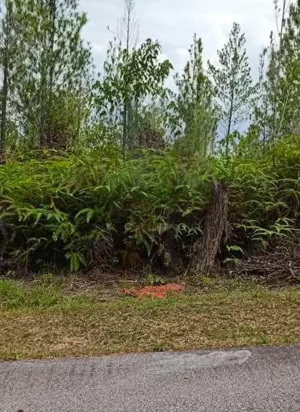 Tanah Kediaman untuk Dijual di Bentong (Pahang) - KC Ng - Exterior - PropertyGuru.com.my