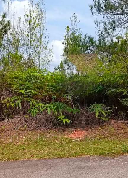 Tanah Kediaman untuk Dijual di Bentong (Pahang) - KC Ng - Exterior - PropertyGuru.com.my