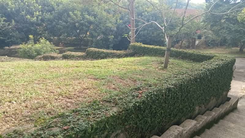 Rumah Banglo untuk Dijual di Leisure Farm (Gelang Patah) - K S Ong - Garden - PropertyGuru.com.my