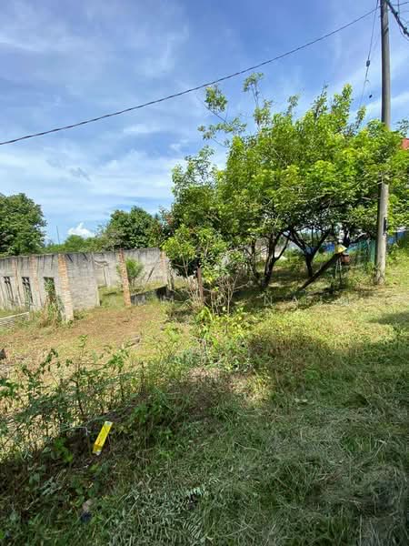 Residential Land for Sale in Dungun (Terengganu) - Muhammad Najmi - Exterior - PropertyGuru.com.my