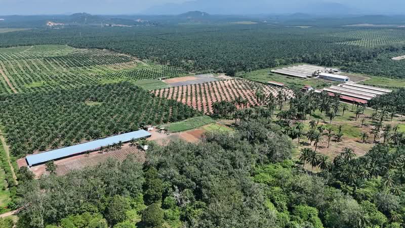Agricultural Land for Sale in Sungai Siput (Perak) - Gary Tang - Exterior - PropertyGuru.com.my