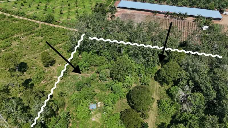 Agricultural Land for Sale in Sungai Siput (Perak) - Gary Tang - Exterior - PropertyGuru.com.my
