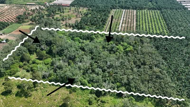 Agricultural Land for Sale in Sungai Siput (Perak) - Gary Tang - Exterior - PropertyGuru.com.my