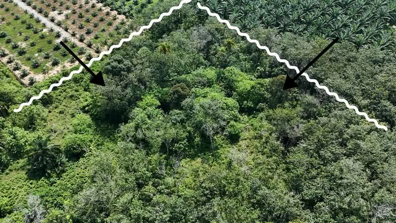 Agricultural Land for Sale in Sungai Siput (Perak) - Gary Tang - PropertyGuru.com.my
