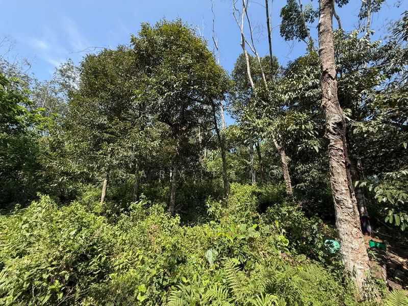 Agricultural Land for Sale in Sungai Siput (Perak) - Gary Tang - Exterior - PropertyGuru.com.my