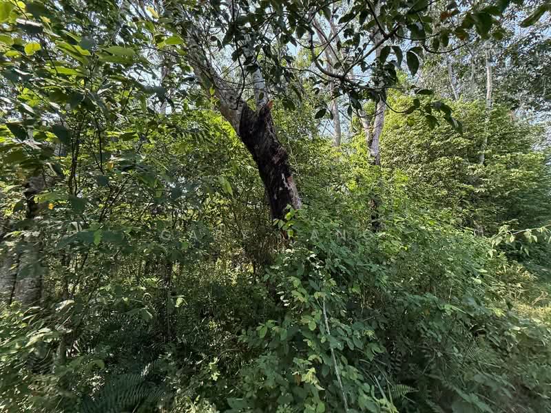 Agricultural Land for Sale in Sungai Siput (Perak) - Gary Tang - Exterior - PropertyGuru.com.my