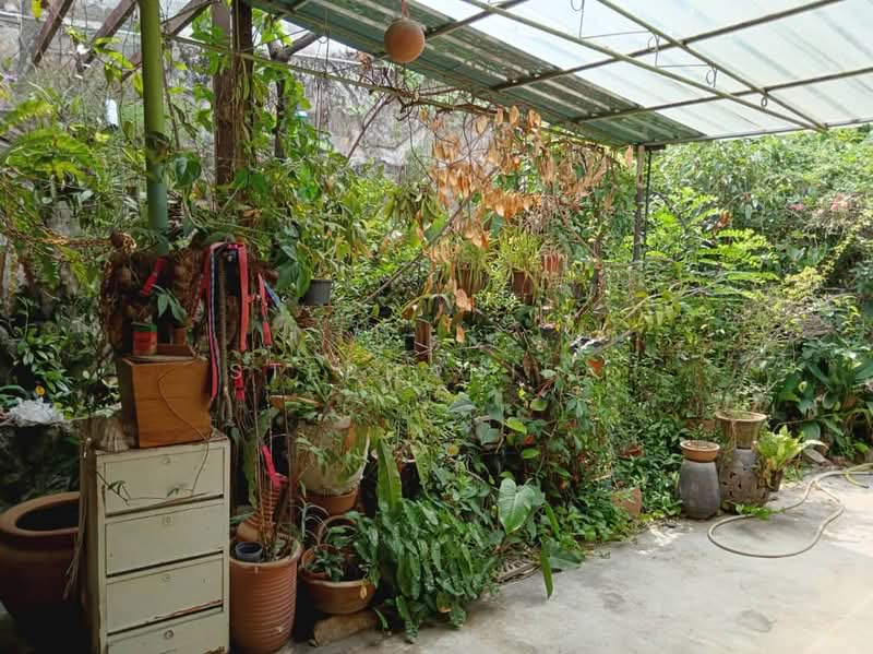 Rumah Teres 1 Tingkat untuk Dijual di Setapak (Kuala Lumpur) - Stephanie . - Garden - PropertyGuru.com.my