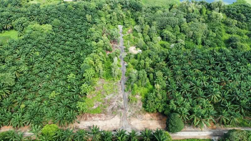 Residential Land for Sale in Dengkil (Selangor) - Syukor Hartanah - Exterior - PropertyGuru.com.my