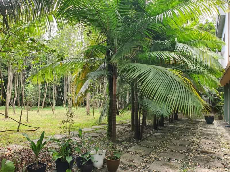 Semi-Detached House for Rent in Setia Alam (Selangor) - Bryan Liew - PropertyGuru.com.my