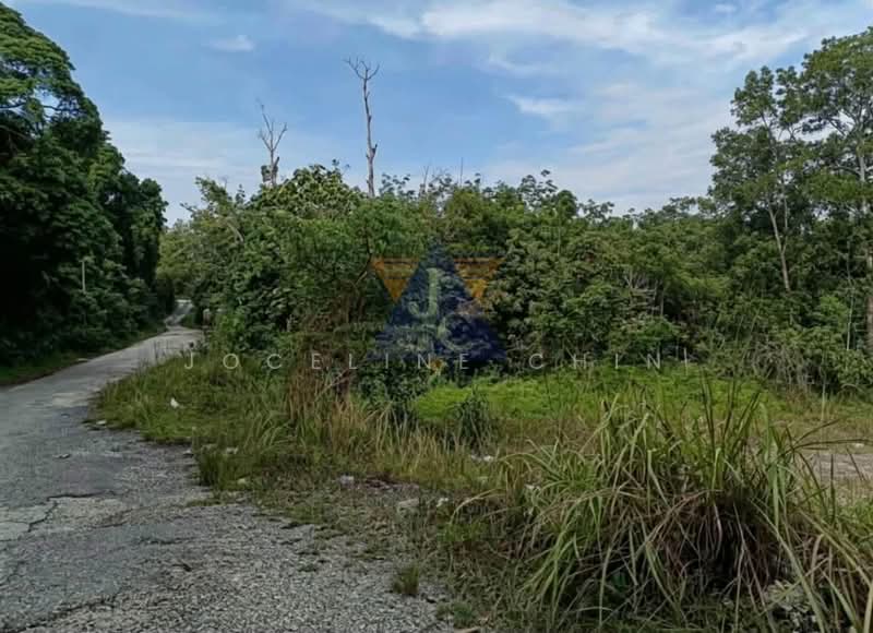 Agricultural Land for Sale in Kuantan (Pahang) - Joceline Chin - Exterior - PropertyGuru.com.my