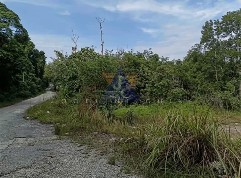 Agricultural Land for Sale in Kuantan (Pahang) - Joceline Chin - Exterior - PropertyGuru.com.my