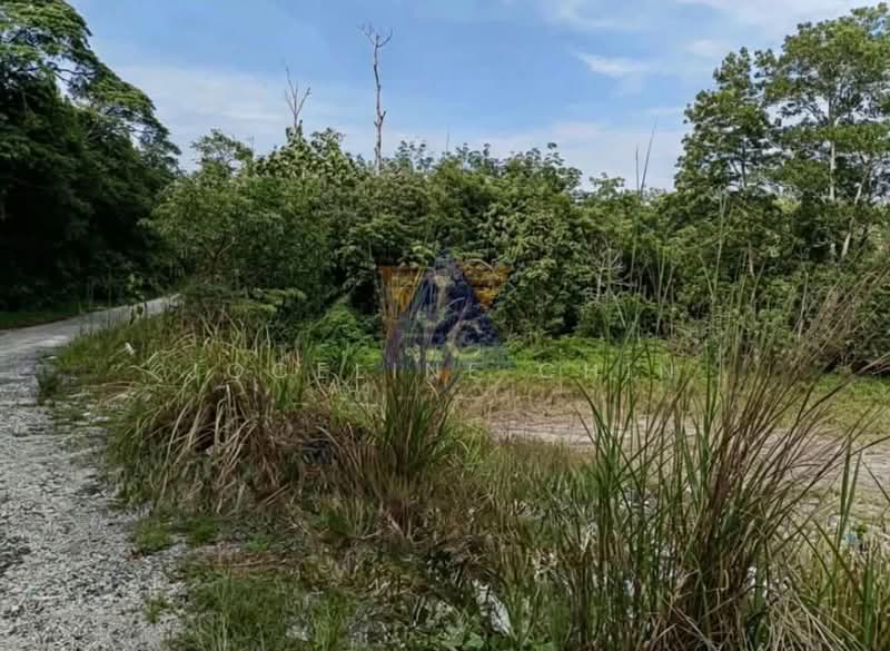 Agricultural Land for Sale in Kuantan (Pahang) - Joceline Chin - PropertyGuru.com.my