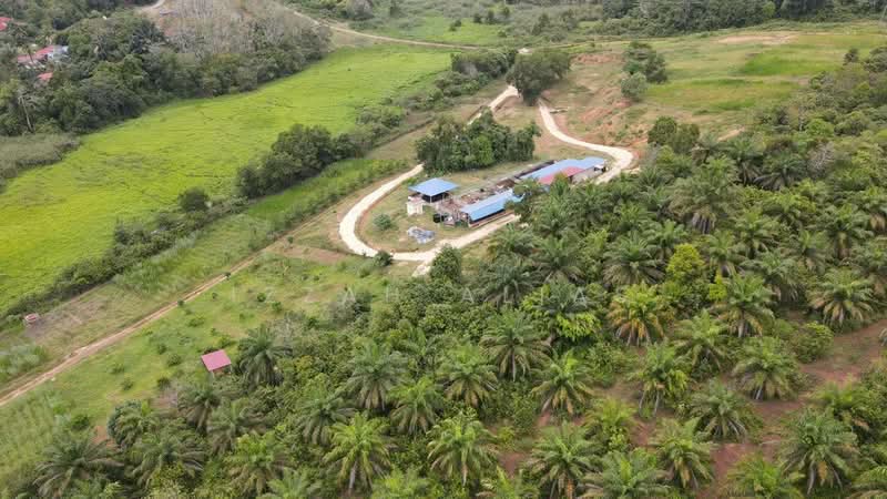 Agricultural Land for Sale in Temerloh (Pahang) - Izzah Alias - Exterior - PropertyGuru.com.my