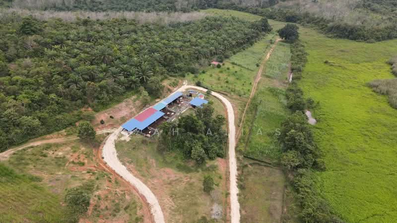 Agricultural Land for Sale in Temerloh (Pahang) - Izzah Alias - Exterior - PropertyGuru.com.my