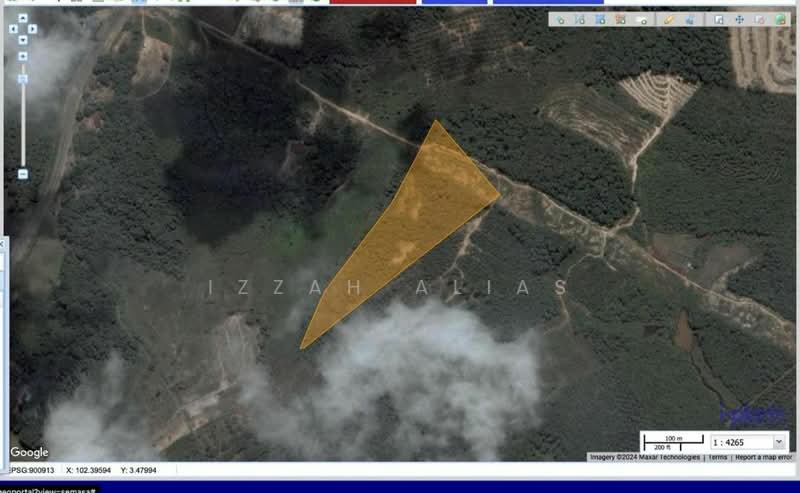 Agricultural Land for Sale in Temerloh (Pahang) - Izzah Alias - PropertyGuru.com.my