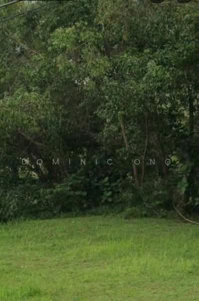 Residential Land for Sale in Bukit Damansara (Damansara Heights) - Dominic Ong - Garden - PropertyGuru.com.my