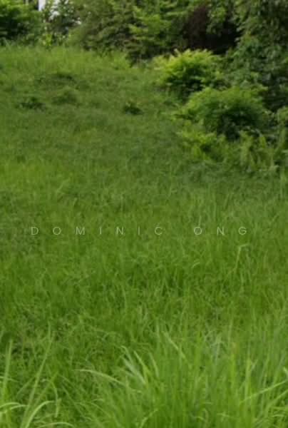 Residential Land for Sale in Bukit Damansara (Damansara Heights) - Dominic Ong - Exterior - PropertyGuru.com.my