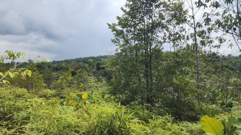 Agricultural Land for Sale in Pengerang (Johor) - ALHAFIZ AZIS - Exterior - PropertyGuru.com.my