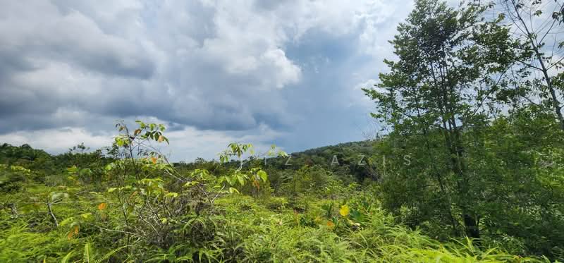 Agricultural Land for Sale in Pengerang (Johor) - ALHAFIZ AZIS - Exterior - PropertyGuru.com.my