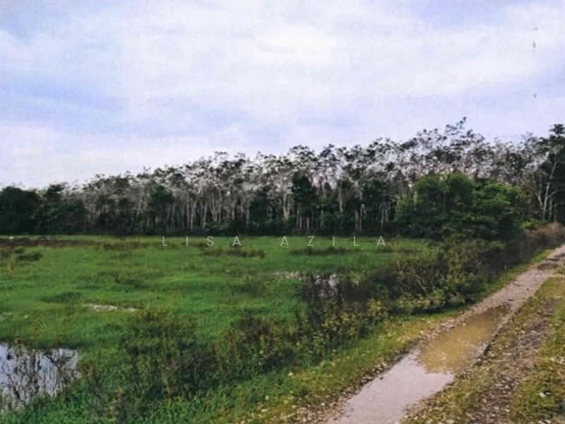 Residential Land for Sale in Marang (Terengganu) - Lisa Azila - Exterior - PropertyGuru.com.my