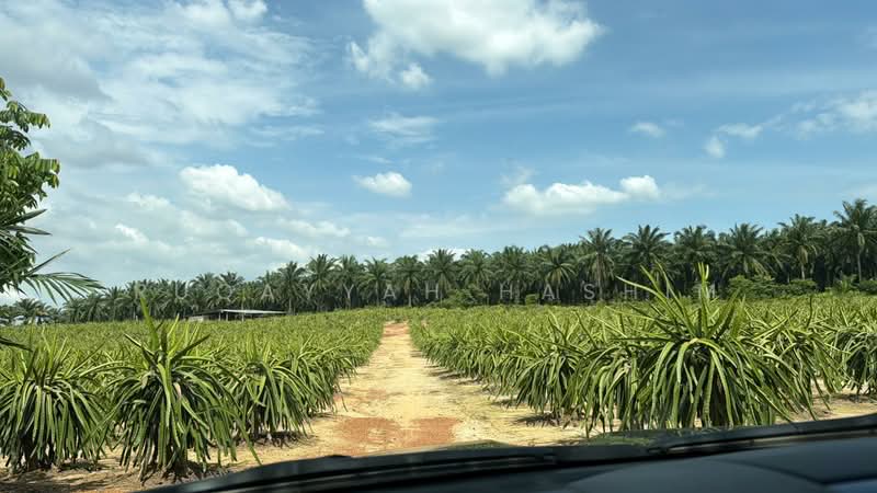 Agricultural Land for Sale in Port Dickson (Negeri Sembilan) - Ruqayyah Hashim - Exterior - PropertyGuru.com.my