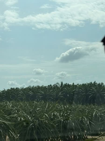 Agricultural Land for Sale in Port Dickson (Negeri Sembilan) - Ruqayyah Hashim - PropertyGuru.com.my
