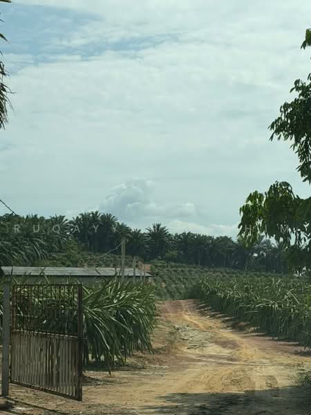 Agricultural Land for Sale in Port Dickson (Negeri Sembilan) - Ruqayyah Hashim - Exterior - PropertyGuru.com.my