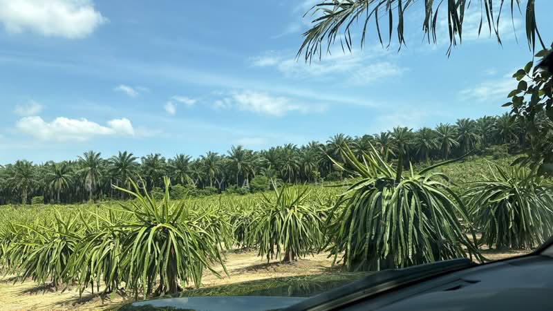 Agricultural Land for Sale in Port Dickson (Negeri Sembilan) - Ruqayyah Hashim - Exterior - PropertyGuru.com.my