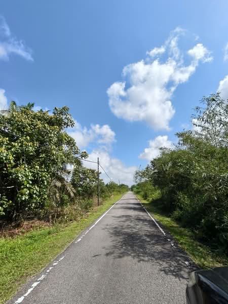 Tanah Pertanian untuk Dijual di Pontian (Johor) - Amber Hew - PropertyGuru.com.my