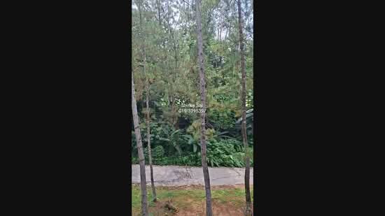 Townhouse for Rent in Bukit Tinggi (Bentong) - Shirley Sai - PropertyGuru.com.my