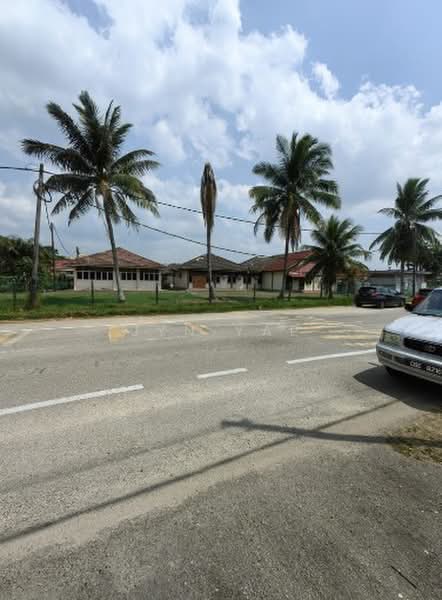 Bungalow House untuk Disewa di Kampung Cengal Lempong Baru (Balok) - Jyn Yap - PropertyGuru.com.my