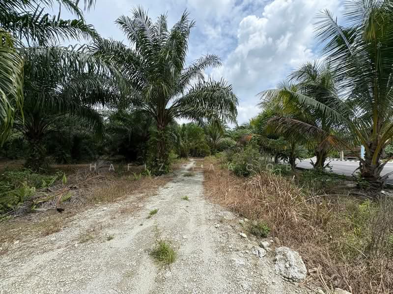 Agricultural Land for Sale in Kampung Labohan Dagang (Tanjong Duabelas) - Hafiz Yaacob - Exterior - PropertyGuru.com.my