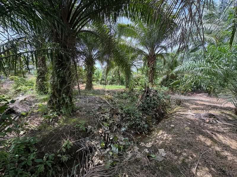 Agricultural Land for Sale in Kampung Labohan Dagang (Tanjong Duabelas) - Hafiz Yaacob - Garden - PropertyGuru.com.my