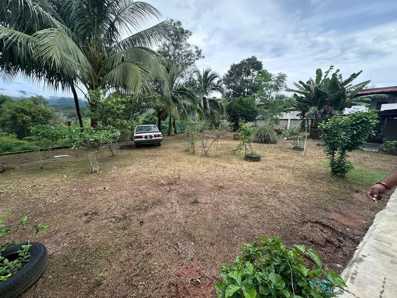 1-storey Terraced House for Sale in Kulim (Kedah) - Hasrul Rosli - Garden - PropertyGuru.com.my