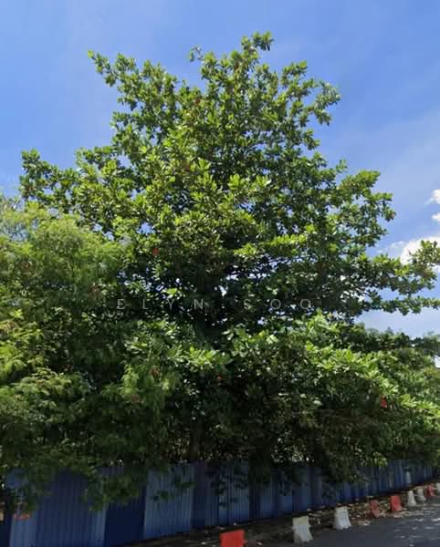 Commercial Land for Rent in Subang Jaya (Selangor) - Elyn Soo - PropertyGuru.com.my