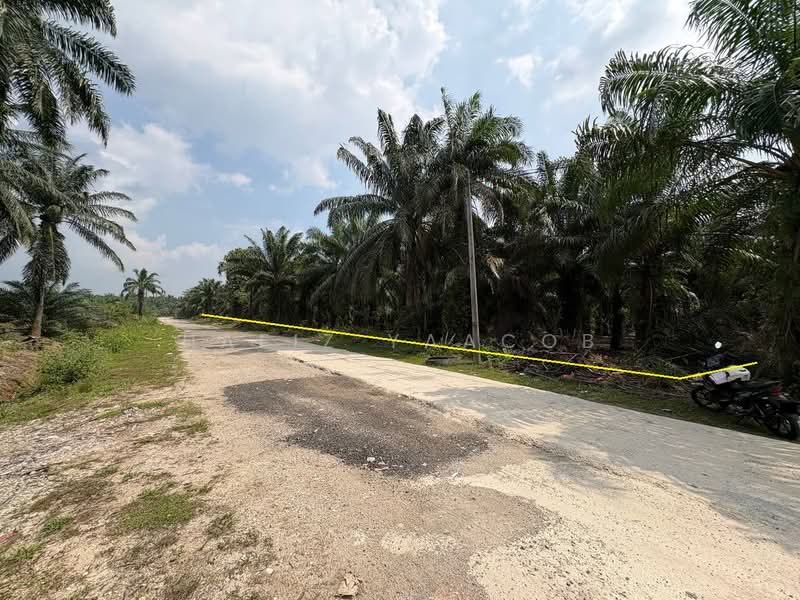 Agricultural Land for Sale in Tanjong Duabelas (Selangor) - Hafiz Yaacob - Exterior - PropertyGuru.com.my