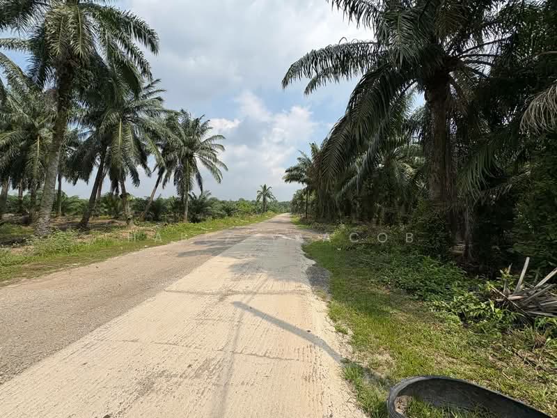 Agricultural Land for Sale in Tanjong Duabelas (Selangor) - Hafiz Yaacob - Exterior - PropertyGuru.com.my