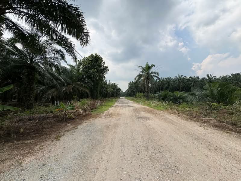 Agricultural Land for Sale in Tanjong Duabelas (Selangor) - Hafiz Yaacob - Exterior - PropertyGuru.com.my