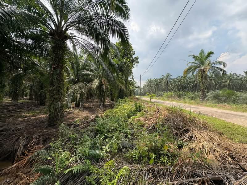 Agricultural Land for Sale in Tanjong Duabelas (Selangor) - Hafiz Yaacob - Exterior - PropertyGuru.com.my