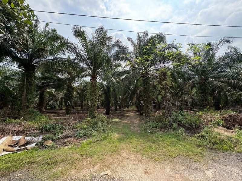 Agricultural Land for Sale in Tanjong Duabelas (Selangor) - Hafiz Yaacob - Exterior - PropertyGuru.com.my