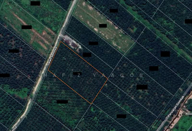 Agricultural Land for Sale in Tanjong Duabelas (Selangor) - Hafiz Yaacob - PropertyGuru.com.my