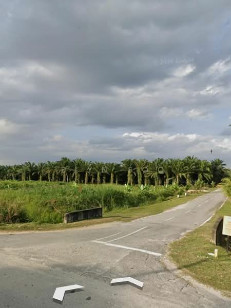 Industrial Land for Rent in Banting (Selangor) - Elyn Soo - Exterior - PropertyGuru.com.my