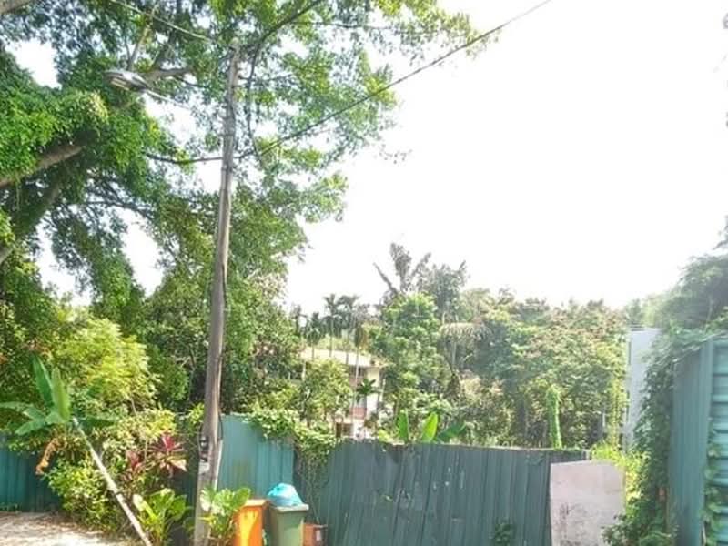 Residential Land for Sale in Bukit Gasing (Petaling Jaya) - Harry Lee - Exterior - PropertyGuru.com.my