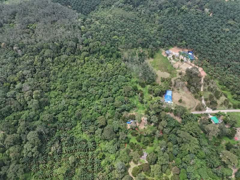 Tanah Pertanian untuk Dijual di Kota Tinggi (Johor) - AIRUL NIZAM - Exterior - PropertyGuru.com.my