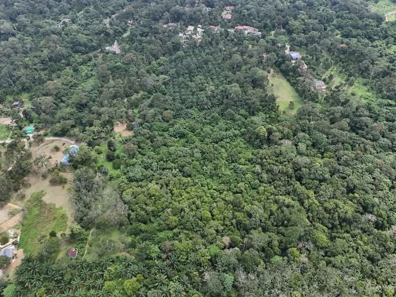 Tanah Pertanian untuk Dijual di Kota Tinggi (Johor) - AIRUL NIZAM - Exterior - PropertyGuru.com.my